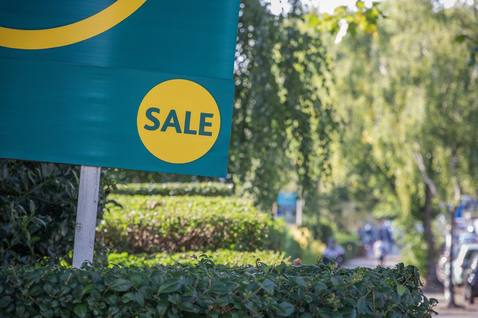 An estate agent's sale board on a leafy residential street