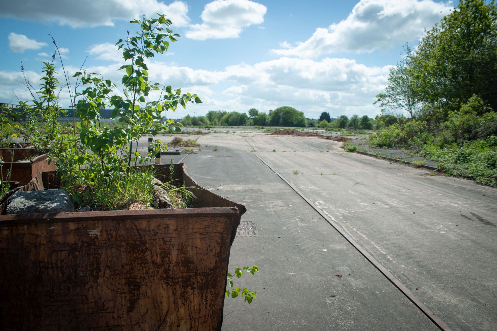 A disused concrete site with saplings and weeds growing from a rusting metal skip in the foreground.